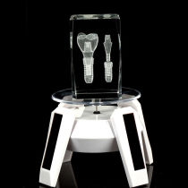 Dental molar implants plastic model crystal teeth model with rotary base