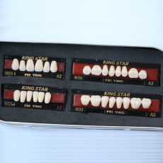 1 set Dental Kingstar synthetic Resin False/fake teeth A2 HSS4 dental supply