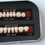 1 set Dental Kingstar synthetic Resin False/fake teeth A2 HSS4 dental supply