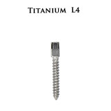 30pcs Dental endodontic material bulk sale pure TITANIUM SCREW POST size L4