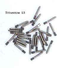30pcs Dental endodontic material bulk sale pure TITANIUM SCREW POST size L5