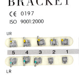 Dental 1kit Orthodontic Mental Bracket Brace Standard MBT 022 345hooks 20pcs/set