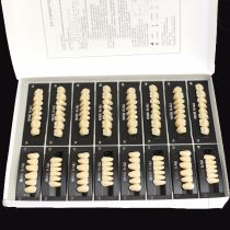 4 Sets Dental Synthetic Polymer Resin False Teeth Denture T8,L8,34U,34L,A2 shade