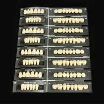 4 Sets Dental Synthetic Polymer Resin False Teeth Denture T8,L8,34U,34L,A2 shade