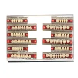 84pcs Dental Complete Denture False Tooth Synthetic Resin A2 Dental Teeth Model