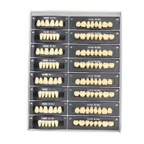 112Pcs/Pack HUGE KAILI A3 Dental Synthetic Polymer Resin Teeth T8 L8 34 A3