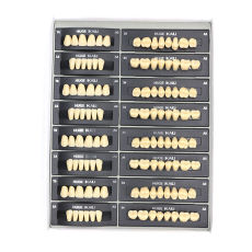 112Pcs/Pack HUGE KAILI A3 Dental Synthetic Polymer Resin Teeth T8 L8 34 A3