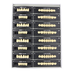 112Pcs/Pack HUGE KAILI A2 Dental Synthetic Polymer Resin Teeth T2 L2 30 A2