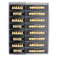 112Pcs/Pack HUGE KAILI A3 Dental Synthetic Polymer Resin Teeth T6 L6 32 A3