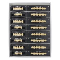 112Pcs/Pack HUGE KAILI A3 Dental Synthetic Polymer Resin Teeth T2 L2 30 A3