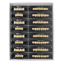 112Pcs/Pack HUGE KAILI A3 Dental Synthetic Polymer Resin Teeth T2 L2 30 A3