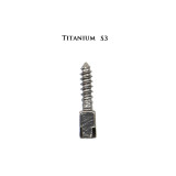 30pcs Dental endodontic material bulk sale pure TITANIUM SCREW POST size S3