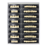 112Pcs/Pack HUGE KAILI A2 Dental Synthetic Polymer Resin Teeth T6 L6 32 A2