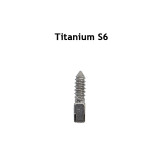30pcs Dental endodontic material bulk sale pure TITANIUM SCREW POST size S6