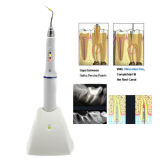 1 set Dental Cordless Obturation System Gutta Percha Endodontic Pen 4PC Tips