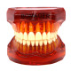 Plastic Study Teeth Model Standard model red Transparent 7002 style