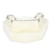 Dental Orthodontic Wearing Trainer Demonstration Plastic Teeth Model M#3007