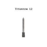 Dental 30pcs bulk sale endodontic material pure TITANIUM SCREW POST size L2