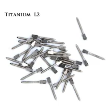 Dental 30pcs bulk sale endodontic material pure TITANIUM SCREW POST size L2