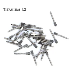 Dental 30pcs bulk sale endodontic material pure TITANIUM SCREW POST size L2