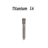 30pcs Dental endodontic material bulk sale pure TITANIUM SCREW POST size L6