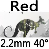 kangaroo