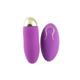 Wireless Bullet Massager Remote Control Egg Vibrator Kegel Ball Kit For Women Or Couples
