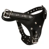 Removable Triple Dildos Plug With Adjustable Strap-on Harness Bondage for Female Lesbian