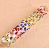 Crystal Glass Pleasure Wand Dildo Penis Rainbow Mege Nubby
