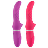 Dual Vibrator Dildo G Spot Adult Sex Toys for Women Wand Massagers Waterproof Powerful Vibrator Clitoris Vagina Stimulator Sex Things for Couples