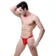 Men's Sexy Bikini Mesh Thongs Lingerie Breathable Briefs Underwear See Through Hot Underpants Gift For Boyfriend