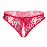 Women's Sexy Floral Lace Tanga Crotchless Panties Mesh Lingerie Underwear For Ladies Girls