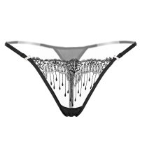 Sexy Triangle Bikini Swimsuits Embroidery Lace G-String Cheeky Hipster See Through Panties For Women