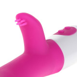 Silicone 6 Speed G Spot Vagina and Clitoris Vibrating Vibrator
