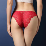 Classic Women's Sexy Breathable Lace Underwear 8 Colors