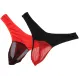 Men's 2 Colors Pack Sexy Cooling Anti-Smell Briefs Breathable Thong See Though Mesh Underwear