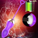3PCS Set Wireless Bullet Vibrators Remote Control Egg Massager Kegel Balls Kit For Women Or Couples