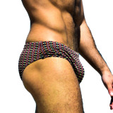 TAD Vertical Red and Yellow Racing Briefs Swimwear