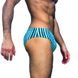 TAD Vertical Light Dark Blue Stripes Racing Briefs Swimwear