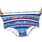 TAD Blue Red White Stripes Swim Briefs Swimwear