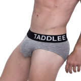 TAD Smoove Sexy Color Basic Clean Thick Waist Brief Underwear