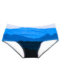 TAD Blue Grid Swim Briefs Swimwear