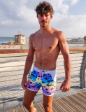 Taddlee Men's Swimwear Boxer Cut Swim Brief Bikini Trunks Board Shorts Swimsuits