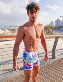 Taddlee Men's Swimwear Boxer Cut Swim Brief Bikini Trunks Board Shorts Swimsuits